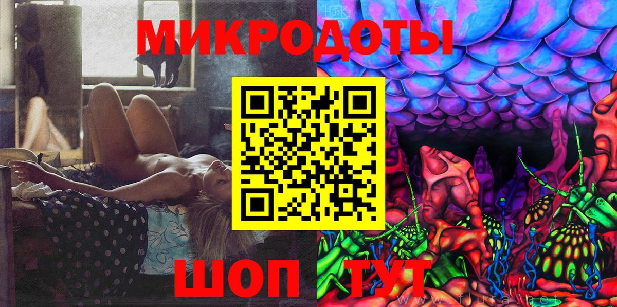 Курчатов  хочу   Вход с VPN  Псилоцибиновые грибы Cubensis 